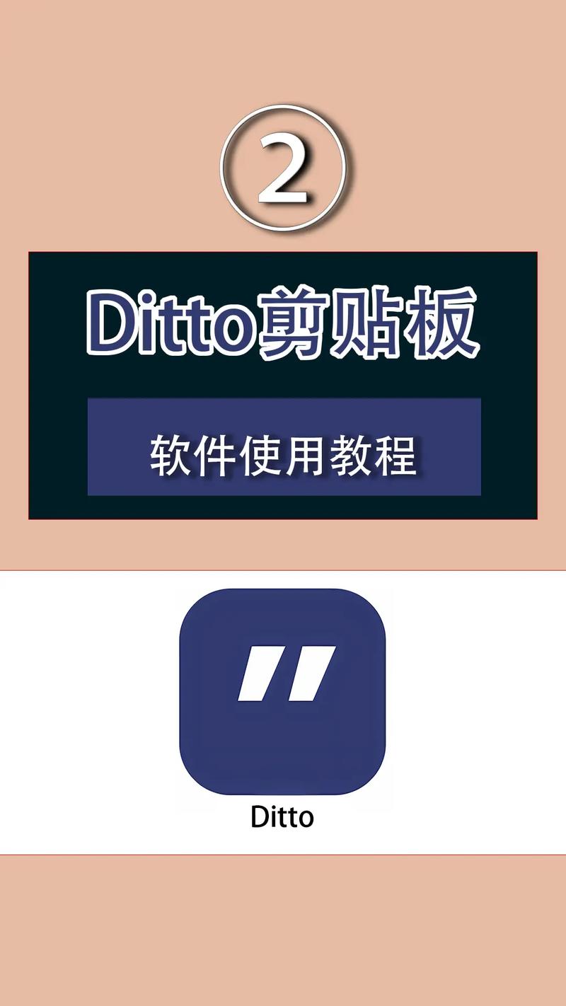 ditto怎么用加速永久游戏截图