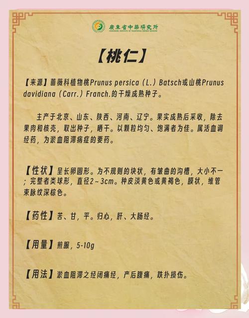 桃仁的药用价值光环加速版