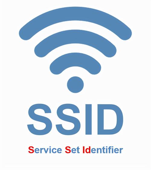 DDNS服务游戏截图