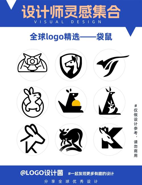 袋鼠加速器官方网下载缩略图