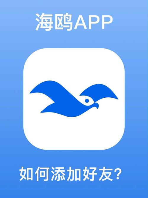 海鸥加速器官方版APP无广告纯净版无限能量蓝色版无广告免费缩略图