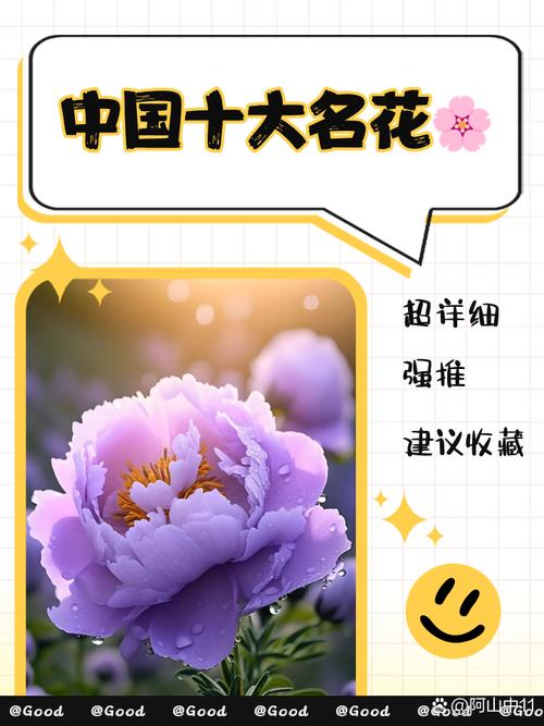 中国最美的十大名花全免版游戏截图