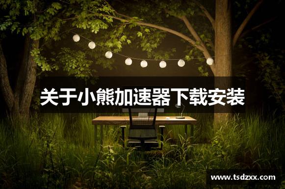 小熊加速器npv永久免费版缩略图