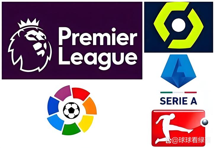 oddsportal足球数据中文最新版缩略图