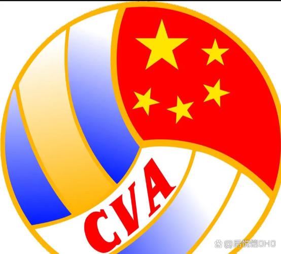 女排联赛录像回放光环加速版游戏截图