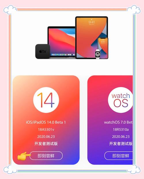 尝鲜版怎么更新正式版