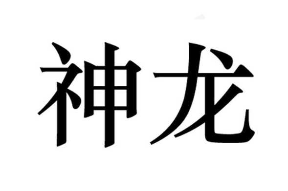 神龙加速29游戏截图
