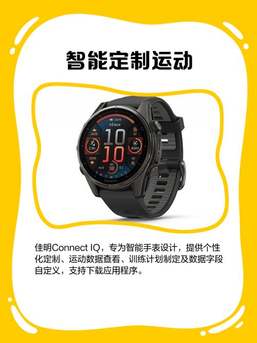 佳明官网connectIQ游戏截图