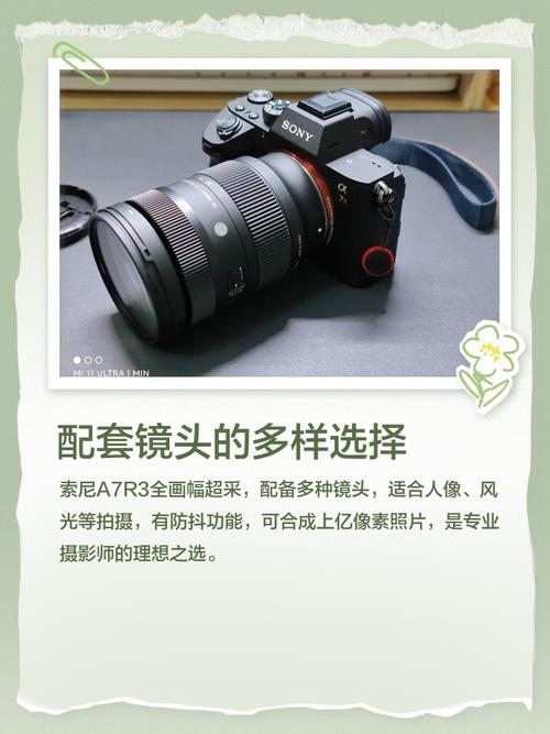 索尼a7r3人像最佳设置破解版永久免费游戏截图