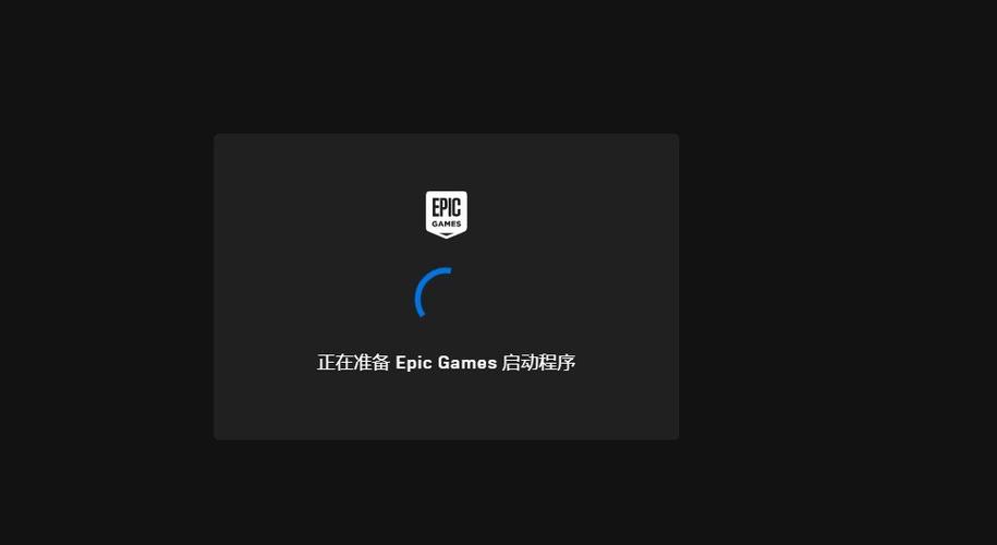 epicgames登录不了游戏截图