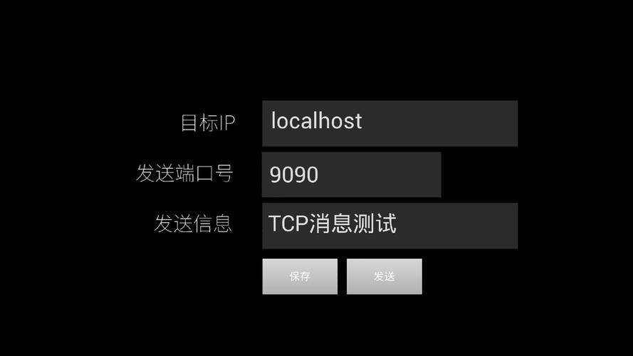 TCP测试工具安卓版去限制版游戏截图