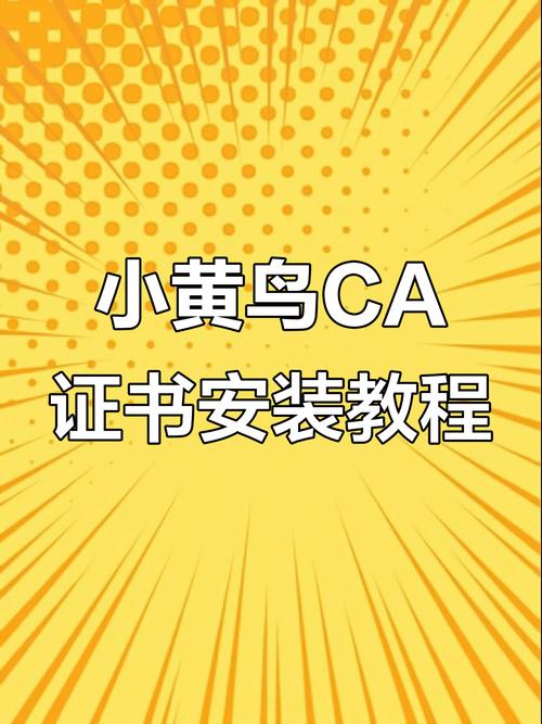 黄鸟ca证书下载安装流程游戏截图
