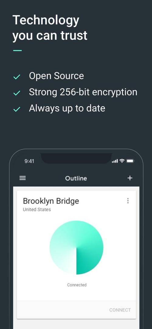 outline加速器2023免费观看缩略图