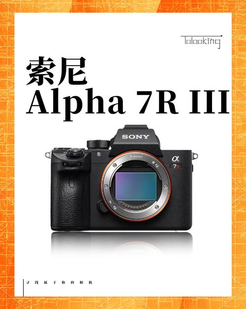 索尼a7r3人像最佳设置游戏截图