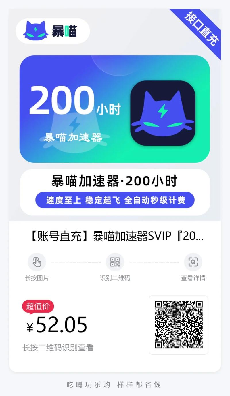 暴喵加速器116