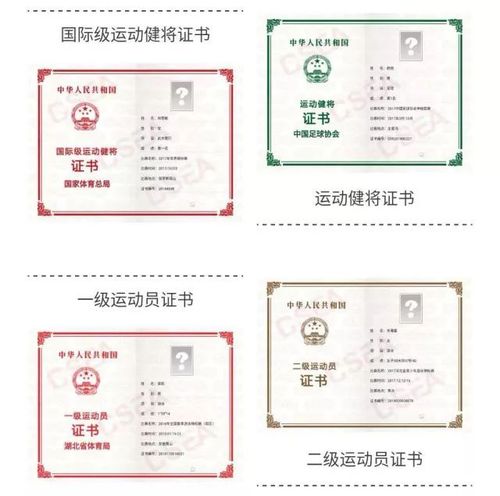 体教联盟怎么申请运动员证书光环加速版