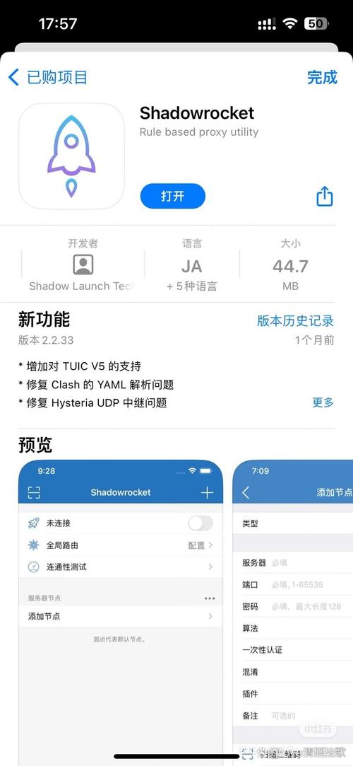火箭VP永久免费加速器破解无限配额缩略图