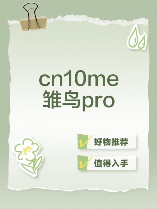 cn10雏鸟pro下载中文字幕