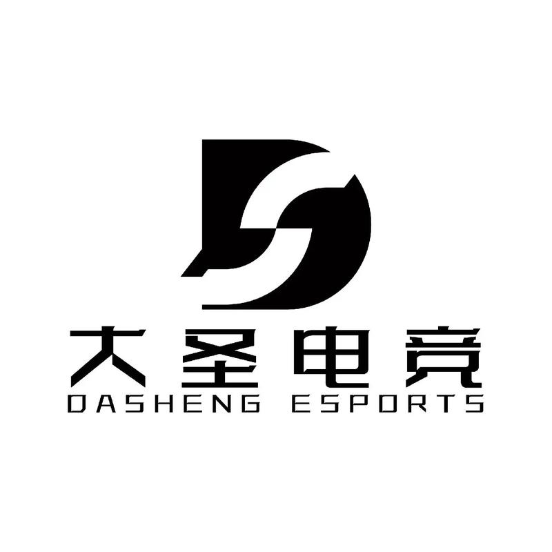 大圣电竞下载安装游戏截图