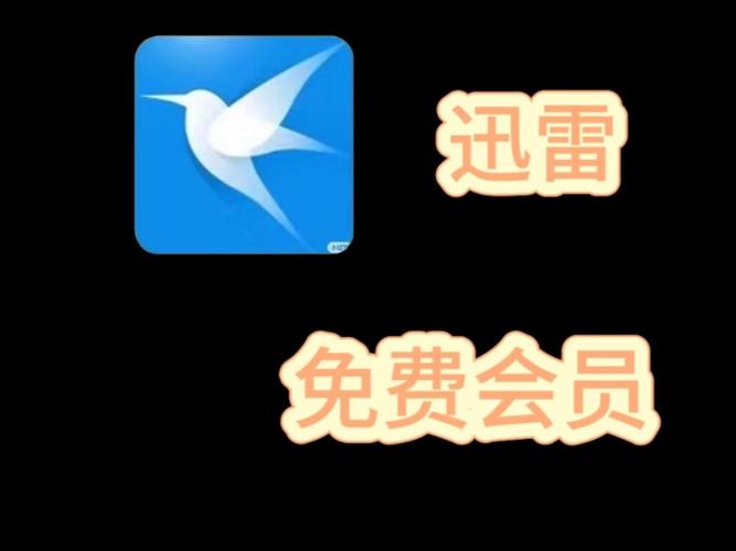 迅雷永不升级版本破解版永久VIP缩略图