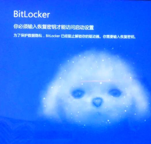 bitdefender密钥游戏截图