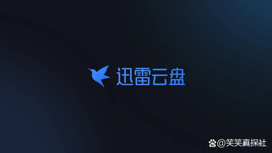 迅雷vip云盘正式版游戏截图