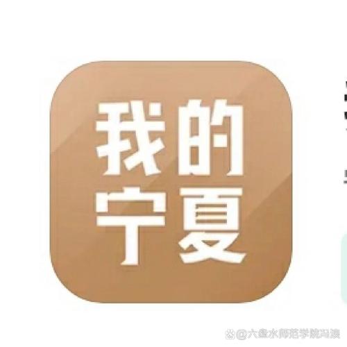 我的宁夏免费安装缩略图