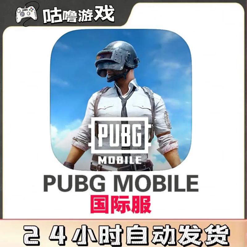 PUBG体验服白开水国体直装安装免广告图标