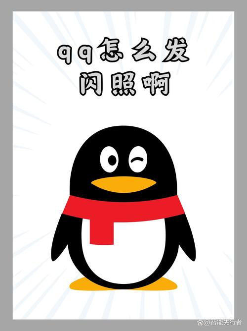 闪照破解软件免费无广告无卡密缩略图