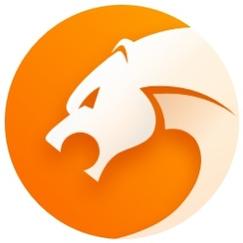 猎豹浏览器旧版红包版游戏截图