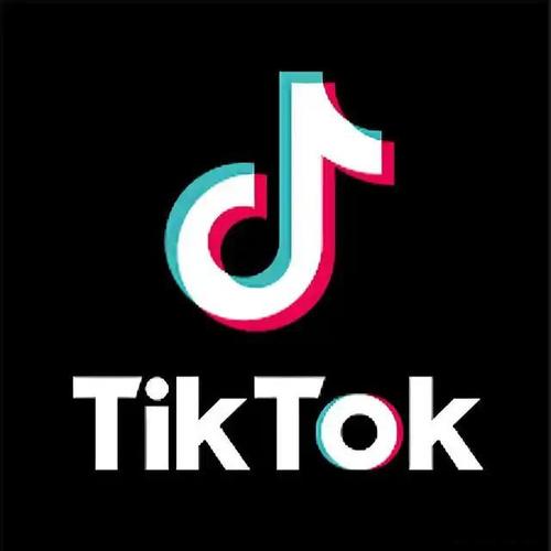 tiktok色板绿色版TT图标