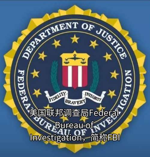 FBI网络用语游戏截图