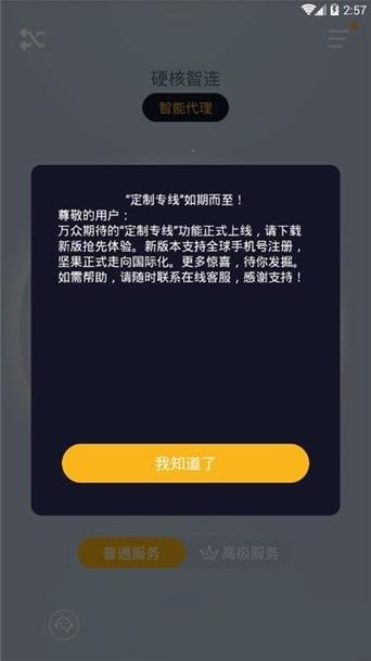 坚果vp