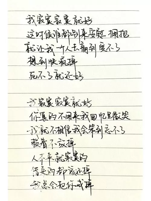 我寂寞寂寞就好 歌词图标