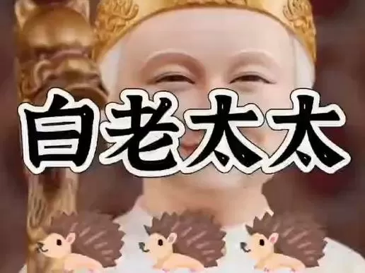 白家老太太哪一集死的