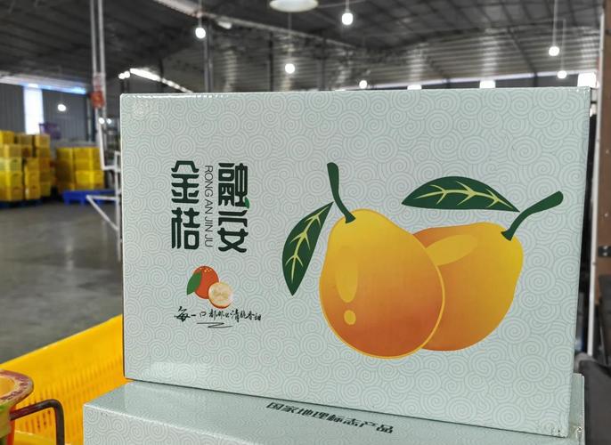 金桔直播免广告抽奖版游戏截图