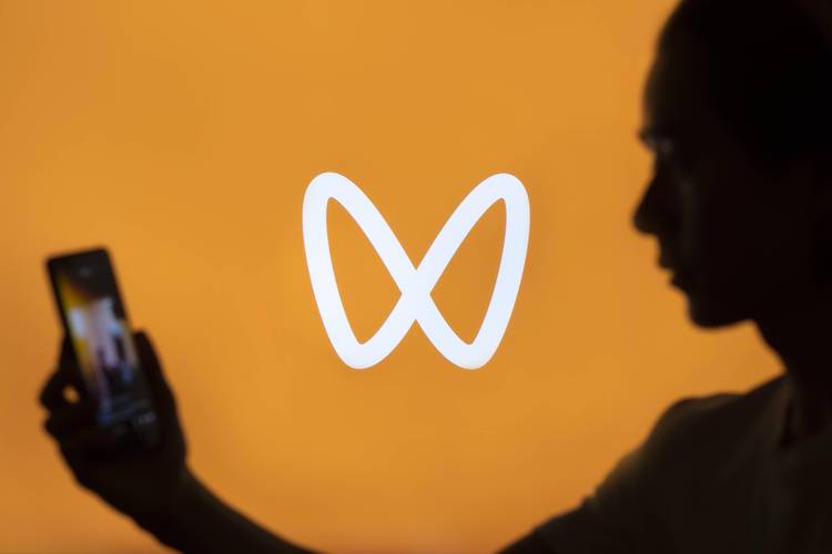 xinyimark直播游戏截图