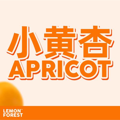 杏视频游戏截图