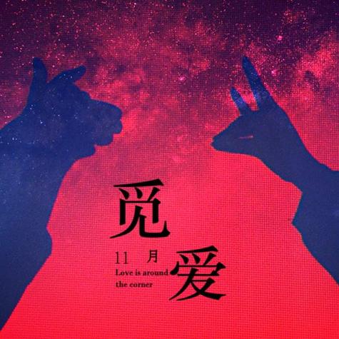 觅爱视频视频游戏截图