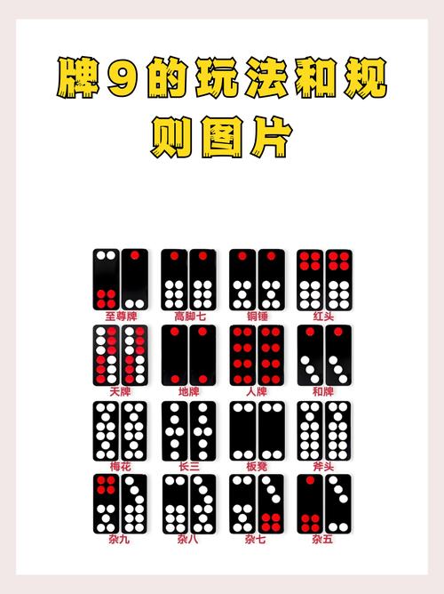 打天九牌游戏截图