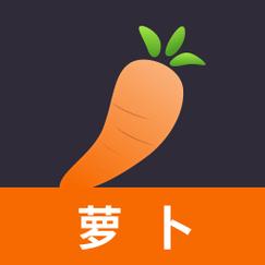 大萝卜视频游戏截图
