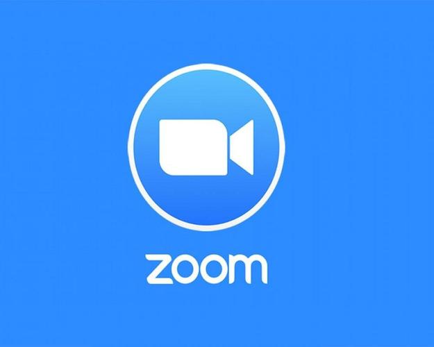 zoom视频游戏截图