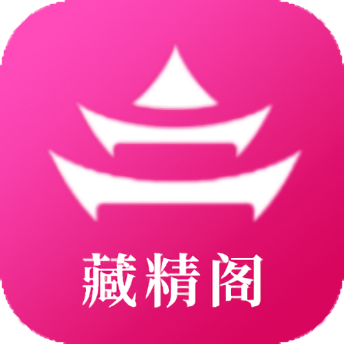 藏花阁视频游戏截图