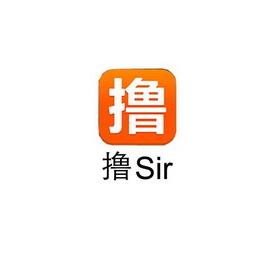撸sir视频游戏截图