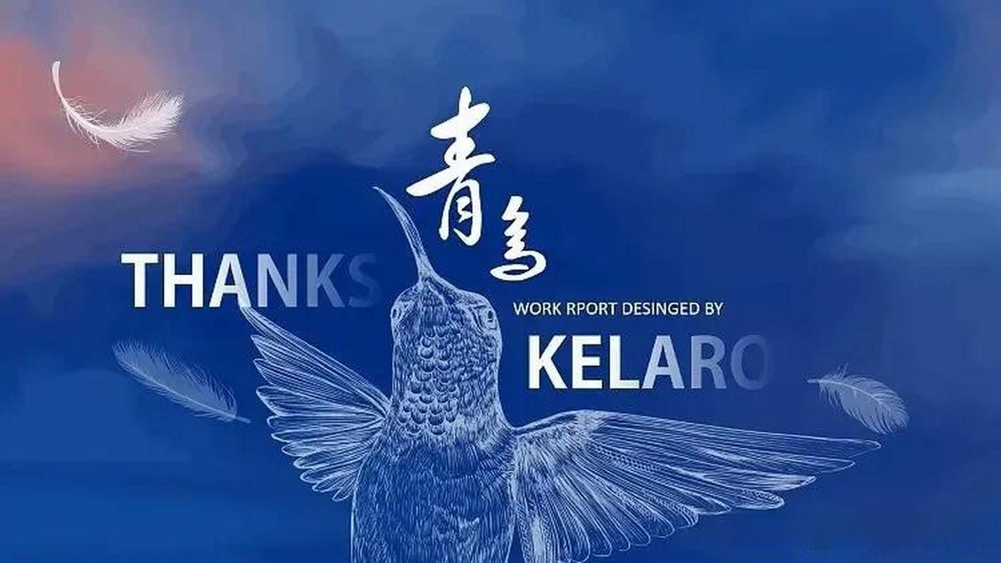 青鸟视频缩略图