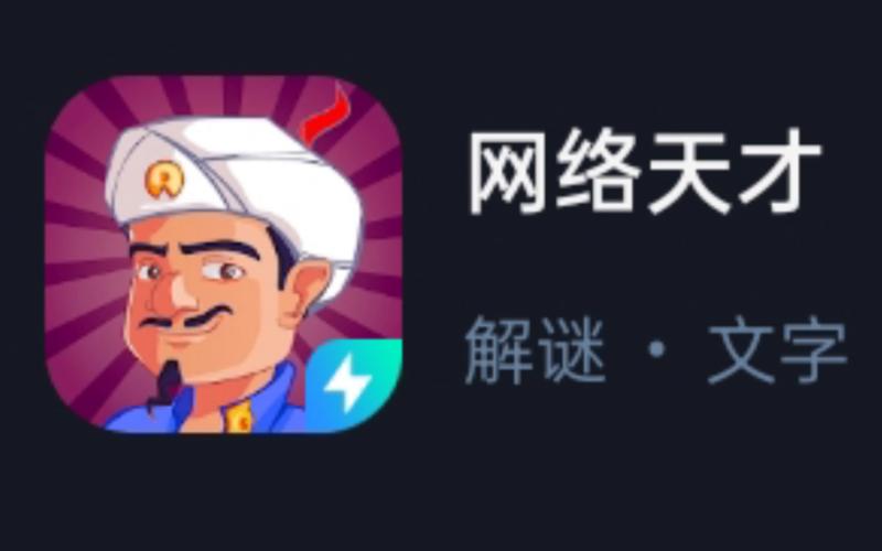 网络天才中文版免图标