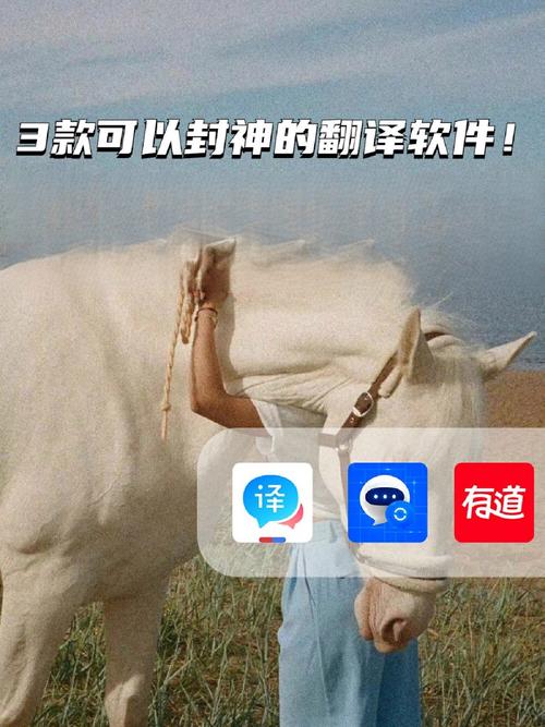 人人译翻译赚取神缩略图