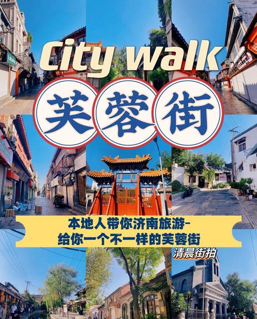 芙蓉街图标