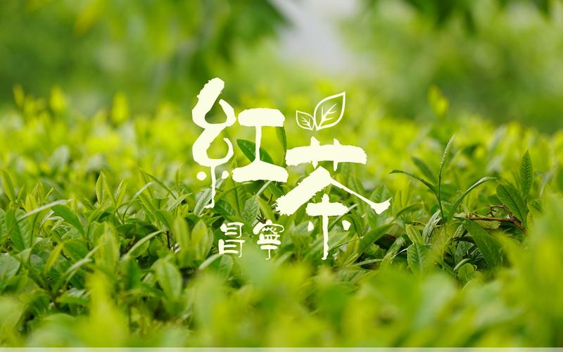 红茶视频