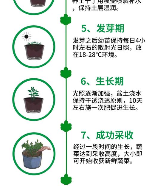 菠菜宝阅读赚钱福游戏截图